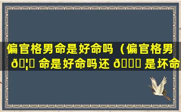 偏官格男命是好命吗（偏官格男 🦋 命是好命吗还 🐝 是坏命）